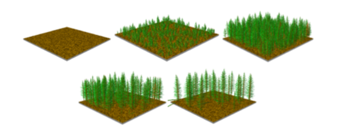 Illustration of different stages of yields over time.